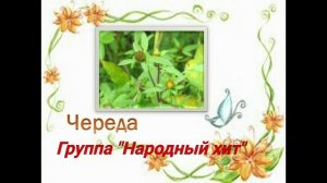 "Череда" Группа НАРОДНЫЙ ХИТ