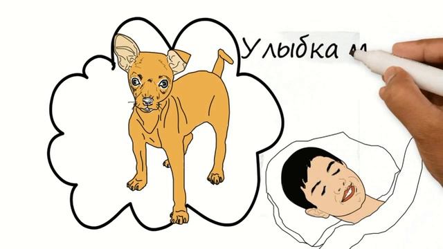 Улыбка мечты