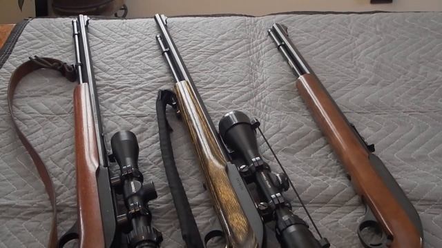 The Marlin Model 60 and its 60 year run