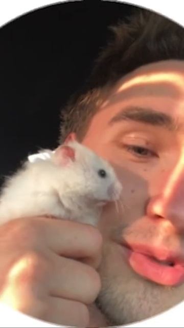 Кореш купил себе хомяка ☺️ | #shorts #хозяева смотреть онлайн