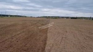 Дискование поля, предпосевная подготовка с последующим посевом травы