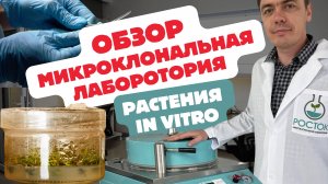 Обзор нашей микроклональной лаборатории👩🏻🔬