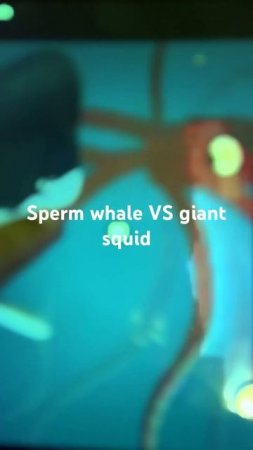 Sperm whale vs giant squid #Whales#Squids￼