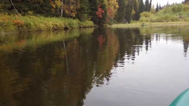 Всплески Хариуса смотреть онлайн