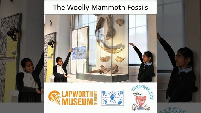 Kids in Museums 2022 Woolly Mammoth смотреть онлайн