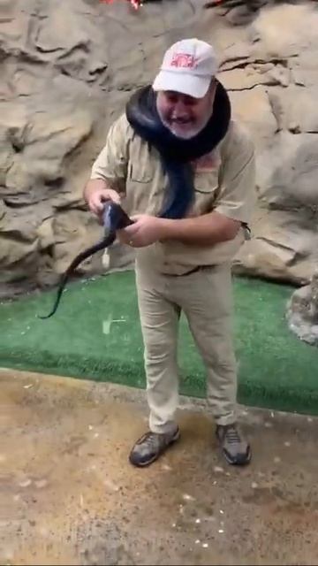 Is this living the dream or living the nightmare 😂 #snake #funny #blooper смотреть онлайн