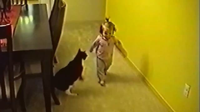 ЛУЧШИЕ ПРИКОЛЫ С ЖИВОТНЫМИ №2 😻the best jokes with animals🐶СМЕХ ДО СЛЁЗ (16+) смотреть онлайн