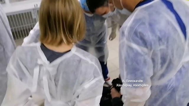 За минуту до уникальной операции. Работа над иллюстрацией "глазами кошки". смотреть онлайн