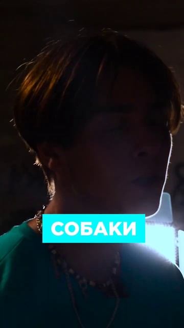 Синдром выученной беспомощности просто #научпоп #топлес смотреть онлайн