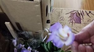 07.02.25. Сбор на выставку