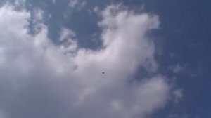 Николаевские голуби Мариуполя