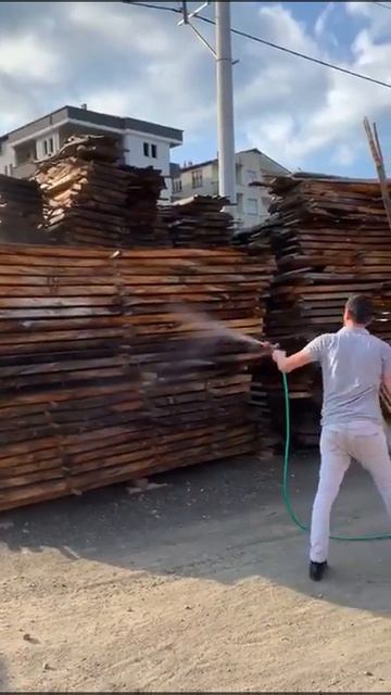 Yazıcı böceği kereste holder ilaçlama смотреть онлайн