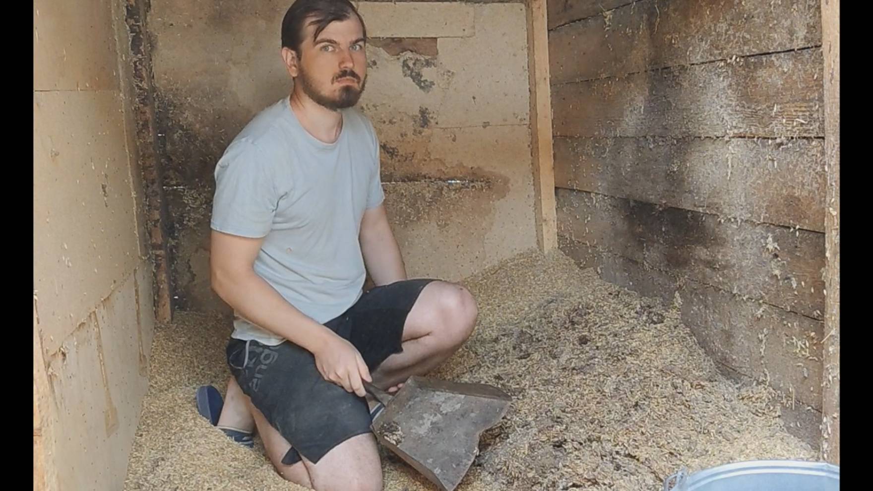 Сдираю гнилой ячмень в ларе смотреть онлайн