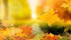 Күз келді балабақша әні 2022 жаңа ән