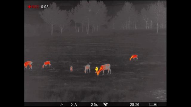 Pulsar Helion 2 XP50 - Värviprofiil: Hot Red