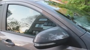 Чистая Веста, цвет Фантом