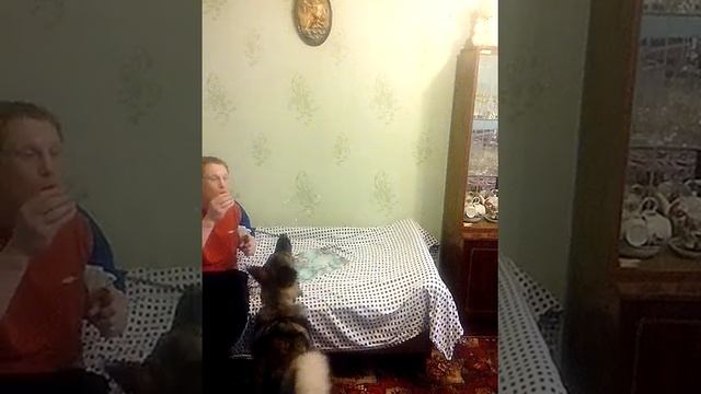 VID_20130423_150917.3gp смотреть онлайн