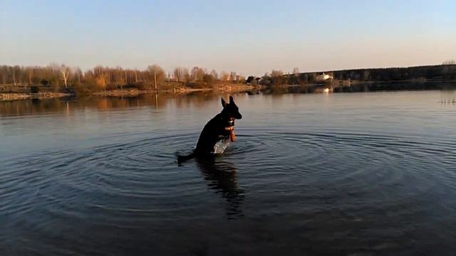 2017 04 04 Кайра смотреть онлайн