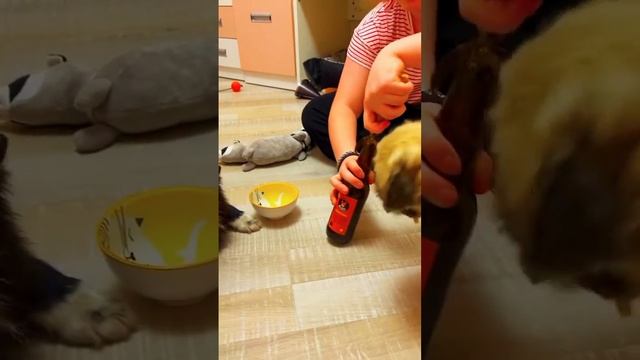 на др у майки (видео с тт) все чики пуки смотреть онлайн