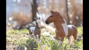 Фото лошадей шляйх 😍✨🥰❤️🐴🐎