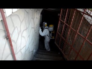 Обработка подвала от блох.