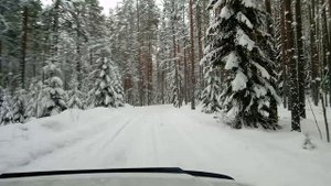 Дорога к Приозерскому шоссе
