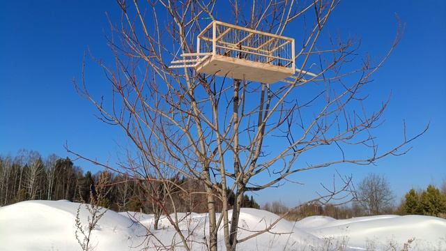 Ловля птиц 7.02.25. смотреть онлайн