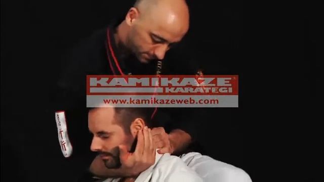 KYUSHO waza l'Art des points vitaux - Serge REBOIS смотреть онлайн