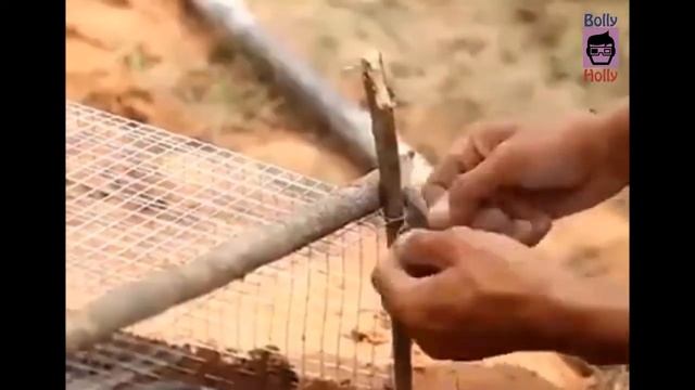 Big Anaconda Caught In Trap | Animal Trap For Big Anaconda | 100% Working смотреть онлайн