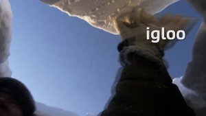 GG3 Get Culture - The Arctic