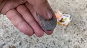 Находки на мусорках Казани