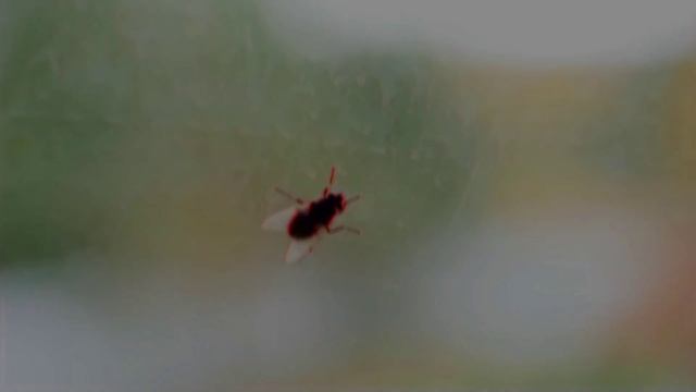 [улетай] edit? смотреть онлайн