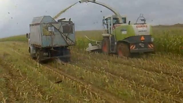 Jaguar 860 liaz.mp4 смотреть онлайн