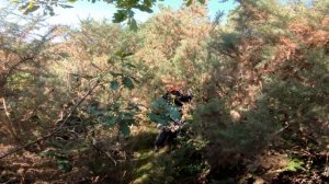 The North Wales Trans Euro Trail & Wild Camping | Husky Project #003