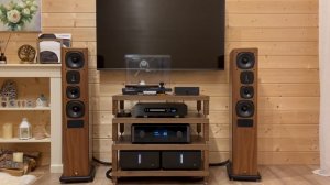 Как звучат кабели: Purist Audio Design Musaeus BiWire Diamond Revision 2.0m ban-ban