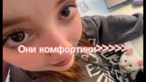 Лучшие💓💓💓@meels_play @no_well @SuperScaryWolf @nostya #марц и чопа