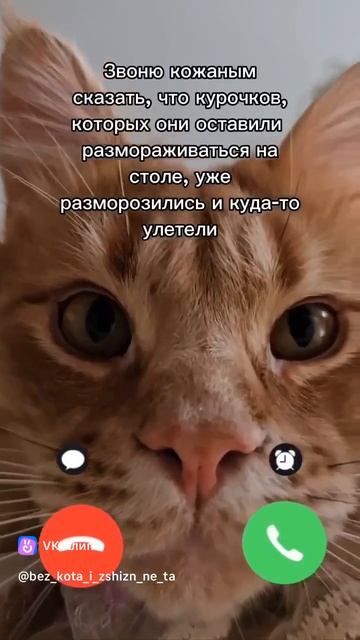 Звоню кожаным напомнить про замороженную курицу на столе.
