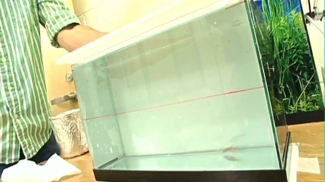 Relaxin, Stress and Zebrafish смотреть онлайн