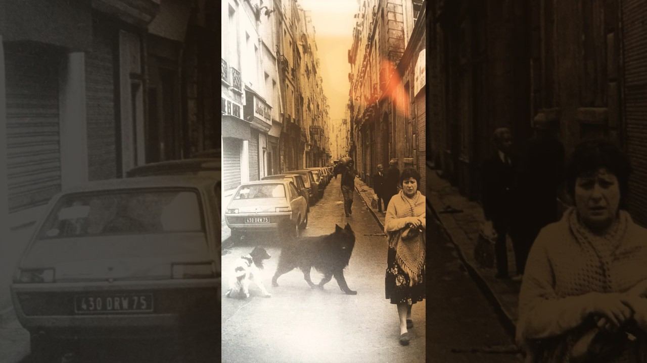 Верил я всегда себе… #без #теней #группа #paris #париж #livemusic #fotografie #music #песня #фото