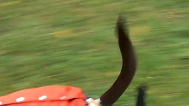 холодное лето 2015 003 смотреть онлайн