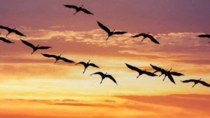 Нурзадэ.Сагындыра туган як.