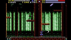 [SMS] NINJA GAIDEN (1992) 207мб [Kega Fusion]