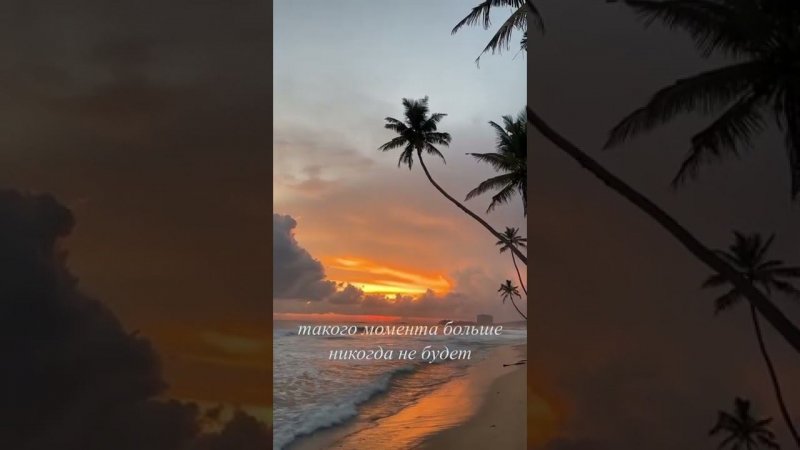 За кайфовыми моментами едем на Шри-Ланку  подробнее в инст: action.vacation