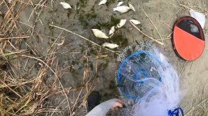 Кастинговая сеть с кольцом. УБИЙЦА ВСЕЙ РЫБЫ