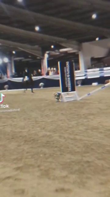 видео про лошадей смотреть онлайн