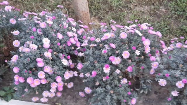 СОЛЬ-ИЛЕЦК 2 смотреть онлайн