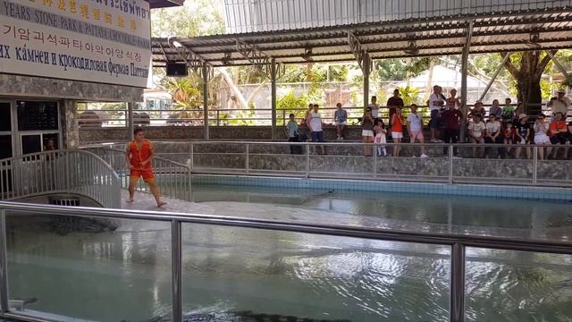 악어농장.악어쇼 смотреть онлайн