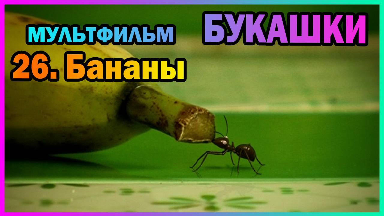 | Мультфильм | БУКАШКИ | 26. Бананы |