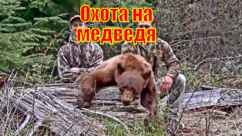 Охота на медведя