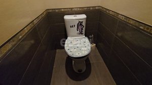 4258598 Тюменский тракт 4